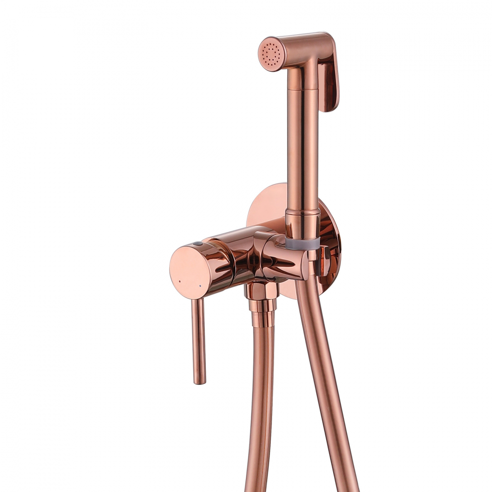��������� ABBER Wasser Kreis AF8125RG � ������������� �����, ������� ������